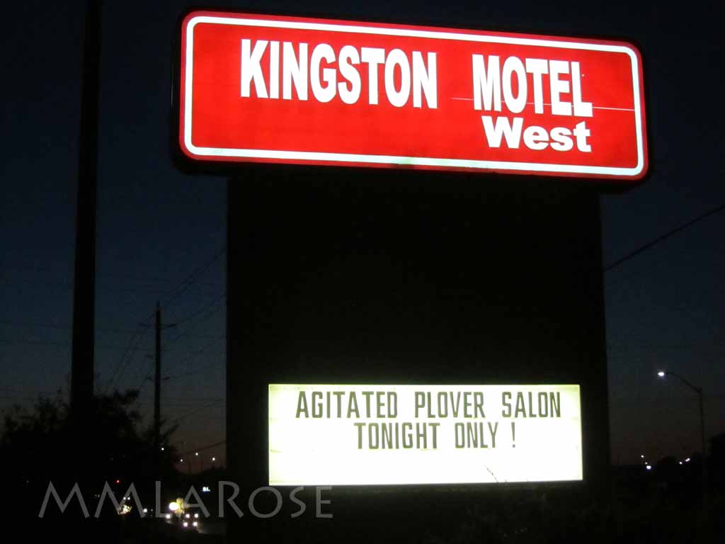 Motel Exhibition 2014 - Agitated Plover Salon